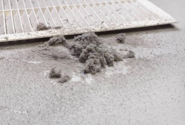 Best Affordable Air Duct Cleaning  in Kelso, WA
